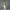 Archive Pocket Polo Green
