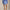 Womens RLX Stretch Woven Skort Abstract Rose