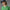 Three Stripes Quarter Zip Green