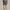 RLX Featherweight Cypress Shorts Printed Navy