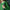 Cashmere Knit Sweatshirt Green