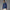 Convertible Hooded Jacket Night Indigo