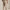 RLX Tech Waffle Atheltic Fit Joggers Sand Heather