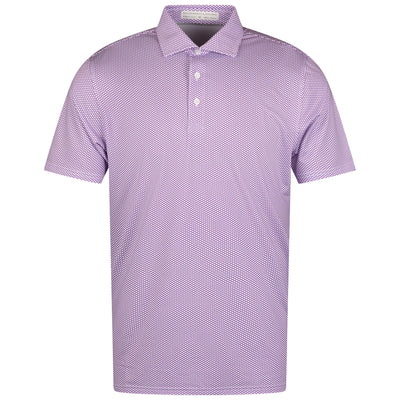 The Davenport Polo Fusion/Skye
