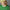 Cashmere Knit Sweatshirt Green