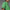 Archive Pocket Polo Green