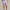RLX Featherweight Cypress Shorts Pindot Lovely Lilac
