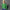 Cashmere Knit Sweatshirt Green