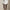 Womens RLX 15-Inch Aim Stretch Skirt Ceramic White