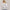 Womens Zoe Full Zip Hoodie White