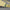 Golf Tour High Crown Visor Yellow