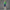 Cashmere Knit Sweatshirt Green