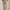 RLX Tech Waffle Atheltic Fit Joggers Sand Heather