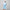 Womens Warm Up Jacket Powder Blue/White