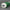 Golf Fairway Headcover Night Green/White