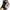 Air Jordan 1 High Top Golf Shoes Black/Metallic Gold