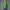 Cashmere Knit Sweatshirt Green