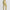 Womens Reviveform 7/8 Legging Yellow Dawn