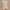 Womens Alder High Rise 5.5 Inch Shorts Ivory Marl