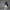 Convertible Hooded Jacket Night Indigo
