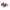 Womens Zoysia Dash Grey/Core Black/Lucid Fuchsia