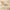 Pacific Popover Hoodie Ivory