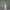 Archive Pocket Polo Green
