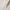 Womens Flora Knit Hoodie Soft White