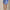 Womens RLX Stretch Woven Skort Abstract Rose