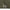 Nylon Band Collar Jacket Military Green