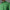 Archive Pocket Polo Green