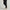 Womens Bingham Performance Joggers Black