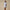 Tulip Lounge Shorts Periwinkle