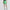 Knockout A-Line Skort Clover