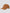 Suede Golf Cap Tan