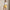 Womens RLX 15 Inch Pleated Skort Corn Yellow