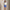 RLX 15 Inch Aim Skort Resort Blue