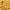 DF Unscripted Polo Wheat Gold/Saturn Gold/Black