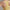 Womens Revive Longline Bra Yellow Dawn