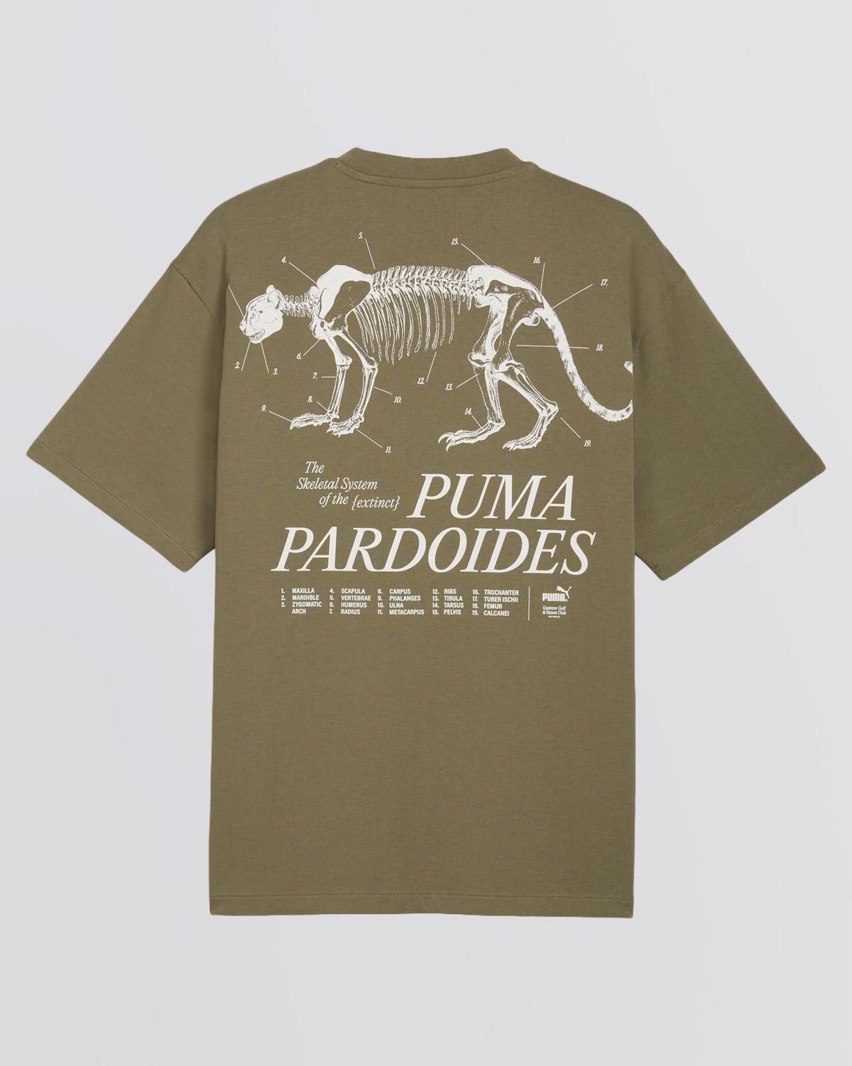 x GGNC Pardoides Tee Dark Sage