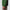 Jordan Dri-FIT Half Zip Mid Layer Forest Green/Sail
