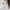 Luka Knitted Viscose Nylon Polo White