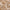 RLX Cashmere Hoodie Player Camo Khaki