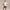 Legacy Skirt Pritchard Green