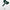 Kooka Two-Tone Polo White/Green