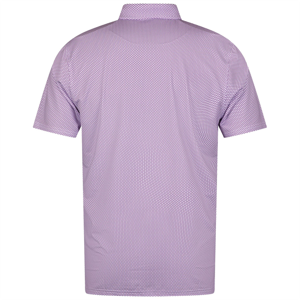 The Davenport Polo Fusion/Skye