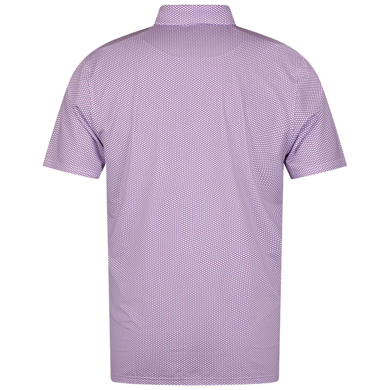 The Davenport Polo Fusion/Skye