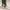 Lux Leggings Pritchard Green