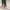 Womens Lux Leggings Pritchard Green
