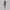 Womens Iris Silky Tech Nylon Skort Twilight